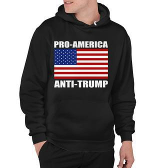 Pro America Anti Trump Tshirt Hoodie - Monsterry CA