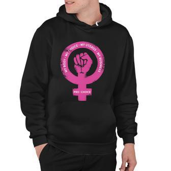 Pro Choice Pro Abortion My Body My Choice Reproductive Rights Hoodie - Monsterry