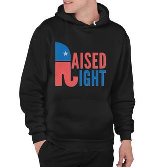 Raised Right Republican Party Tshirt Hoodie - Monsterry DE