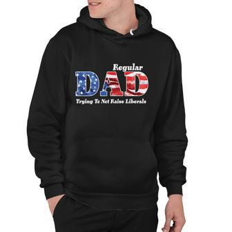 Republican Dad Just A Regular Dad Trying To Not Raise Liberals Hoodie - Thegiftio UK