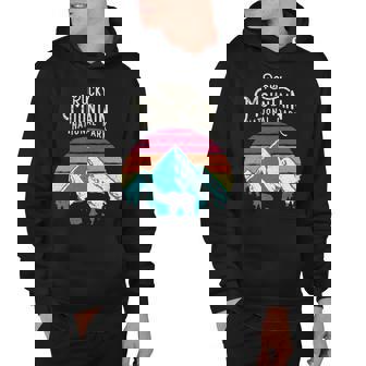 Retro Rocky Mountain National Park Colorado Bear Hoodie - Thegiftio