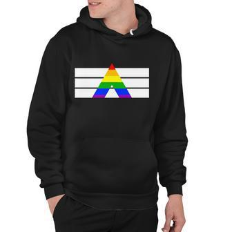 Straight Ally Pride Flag Hoodie - Monsterry CA