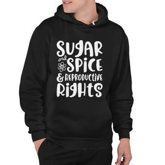 Sugar And Spice And Reproductive Rights Gift Hoodie - Monsterry UK