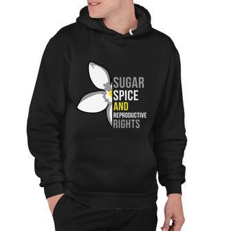 Sugar Spice And Reproductive Rights Funny Gift Hoodie - Monsterry AU