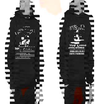 True Story Merry Christmas Jesus Christ Hoodie - Monsterry