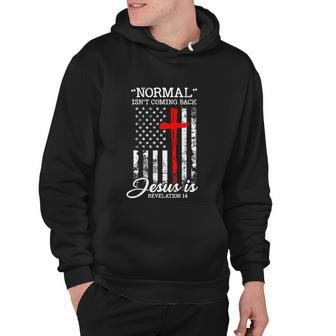 Usa Flag Normal Isnt Coming Back But Jesus Is Revelation Hoodie - Monsterry DE