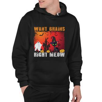 Want Brains Right Meow Cat Halloween Quote Hoodie - Monsterry CA