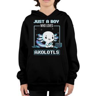 Just A Boy Who Loves Axolotls Cute Funny Kawaii Video Game Youth Hoodie - Thegiftio UK