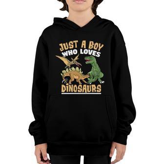 Just A Boy Who Loves Dinosaurs Schoolboys And Paleontologist Gift Graphic Design Printed Casual Daily Basic Youth Hoodie - Thegiftio UK