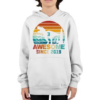 Kids 3 Year Old Boy Dinosaur Awesome Since 2019 3Rd Birthday Gift Youth Hoodie - Thegiftio UK