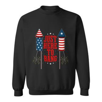 4Th Of July Funny Fireworks Patriotic American Firecracker Sweatshirt - Monsterry DE