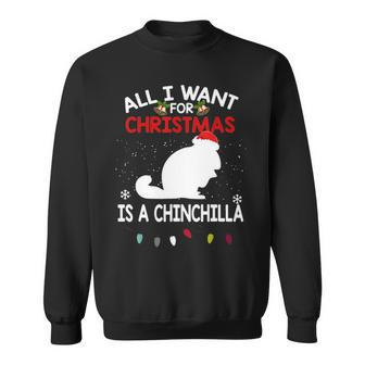 All I Want For Christmas Is A Chinchilla Christmas Sweatshirt - Thegiftio UK