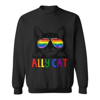 Ally Cat Lgbt Gay Rainbow Pride Flag Pride Month Sweatshirt - Monsterry UK