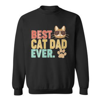 Best Cat Dad Ever Vintage Colors Tshirt Sweatshirt - Monsterry