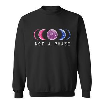 Bi Pride Not A Phase Bisexual Pride Moon Lgbt Lgbtq Sweatshirt - Monsterry DE