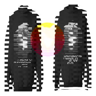 Black And White Cat Owner Love Kitten Retro Sunset Design Sweatshirt - Thegiftio