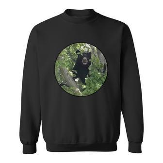 Black Bear Wilderness Sweatshirt - Monsterry DE