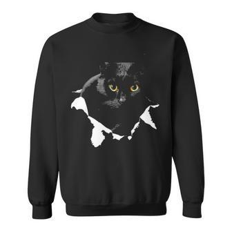 Black Cat Torn Cloth Gifts For Cat Lover Cat Dad Cat Mom Sweatshirt - Thegiftio UK