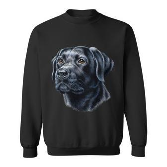 Black Lab V2 Sweatshirt - Monsterry UK