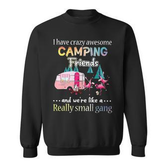 Camping I Have Crazy Awesome Camping Friend Flamingo Camper Sweatshirt - Thegiftio UK
