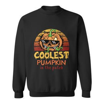 Coolest Pumpkin In The Patch Funny Coolest Pumpkin In The Patch Halloween Costum Sweatshirt - Thegiftio UK