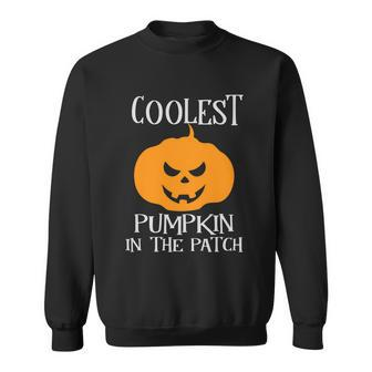 Coolest Pumpkin In The Patch Halloween Quote V2 Sweatshirt - Monsterry UK
