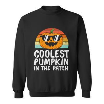 Coolest Pumpkin In The Patch Pumpkin Halloween Quote Sweatshirt - Monsterry UK