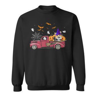 Corgi Halloween Pumpkin T- Sweatshirt - Thegiftio