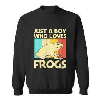 Cute Frog Design For Boys Pet Animal Lover Sweatshirt - Monsterry AU