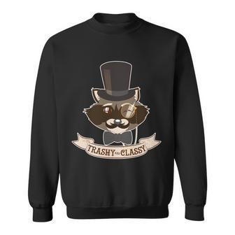 Fancy Trashy Classy Raccoon Graphic Design Printed Casual Daily Basic Sweatshirt - Thegiftio UK