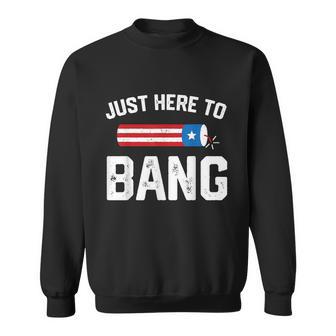 Fourth Of July 4Th July Fireworks Just Here To Bang Sweatshirt - Monsterry UK