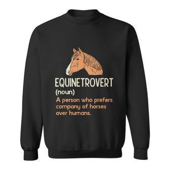 Fun Horse Lover Gifts Funny Meme Saying Horse Definition Sweatshirt - Thegiftio UK
