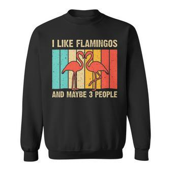 Funny Flamingo Design Men Women Pink Flamingo Bird Lovers Sweatshirt - Thegiftio UK