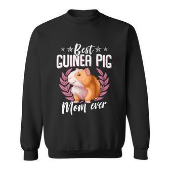 Funny Guinea Pig Lover Graphic For Women And Moms Guinea Pig Gift Graphic Design Printed Casual Daily Basic Sweatshirt - Thegiftio UK