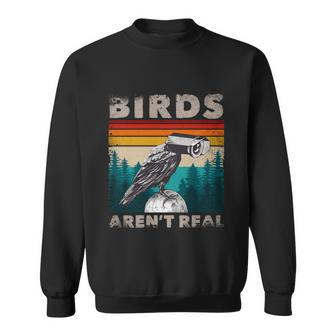 Funny Meme Birds Surveillance Truther Cctv Bird Arent Real Gift Sweatshirt - Monsterry
