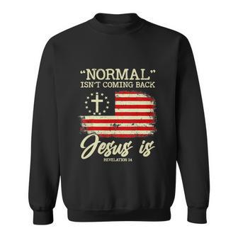 Funny Normal Isnt Coming Back But Jesus Is Revelation Sweatshirt - Monsterry AU