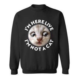 Funny Zoom Lawyer Cat Meme Im Here Live Im Not A Cat Sweatshirt - Thegiftio UK