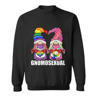 Gnomosexual Lgbtq Gnome For Lesbian Women Love Pride Gnomes Gift Graphic Design Printed Casual Daily Basic Sweatshirt - Thegiftio UK