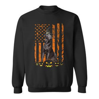 Great Dane Dog Pumpkin American Flag Vintage Halloween Witch Men Women Sweatshirt Graphic Print Unisex - Thegiftio UK