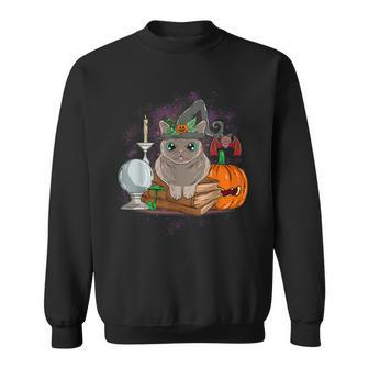 Grey Cat Witch Halloween Crystal Ball Books Bat Sweatshirt - Seseable