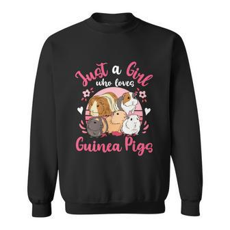 Guinea Pig Just A Girl Who Loves Guinea Pigs Gift Graphic Design Printed Casual Daily Basic Sweatshirt - Thegiftio UK