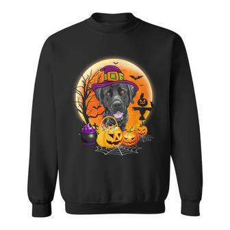 Halloween Great Dane Dog Moon With Pumpkin Funny Gifts Women Men Women Sweatshirt Graphic Print Unisex - Thegiftio UK