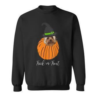 Halloween Yorkie Mom Pumpkin Trick Or Treat Sweatshirt - Seseable