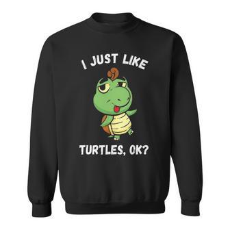 I Just Like Turtles Cute Girl Boys Turtle Graphic Design Printed Casual Daily Basic Sweatshirt - Thegiftio
