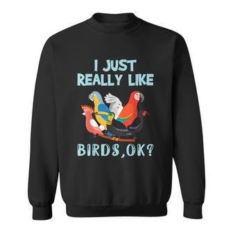 I Just Really Like Birds Ok Funny Toucan Macaw Parrot Sweatshirt - Thegiftio UK
