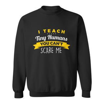I Teach Tiny Humans You Cant Scare Me Cute Gift Sweatshirt - Monsterry UK