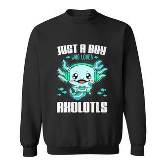 Just A Boy Who Loves Axolotls Funny Axolotl Gamer Kids Boys Sweatshirt - Thegiftio UK