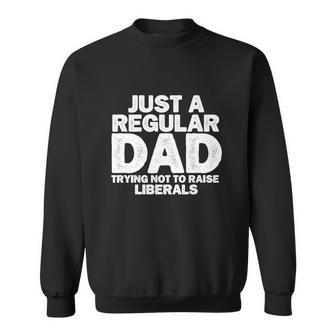 Just A Regular Dad Trying Not To Raise Liberals Tshirt Sweatshirt - Monsterry UK