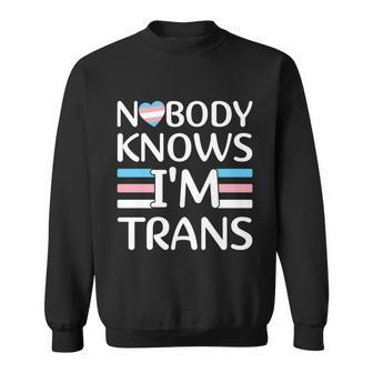 Nobody Knows Im Trans Transgender Pride Month Sweatshirt - Monsterry CA