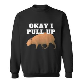 Okay I Pull Up Capybara Tshirt Sweatshirt - Monsterry UK